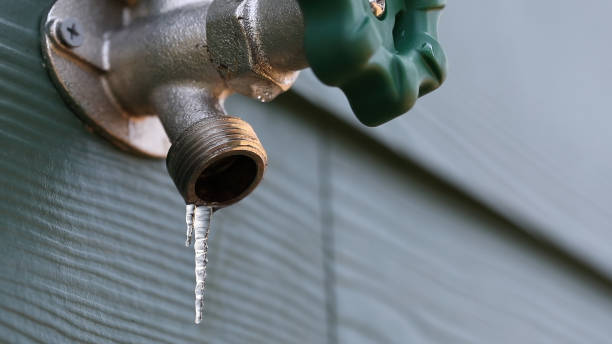Best Plumbing Inspection Services  in Rossville, IN