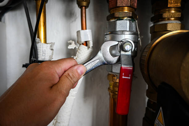 Best Water Leak Repair  in Rossville, IN